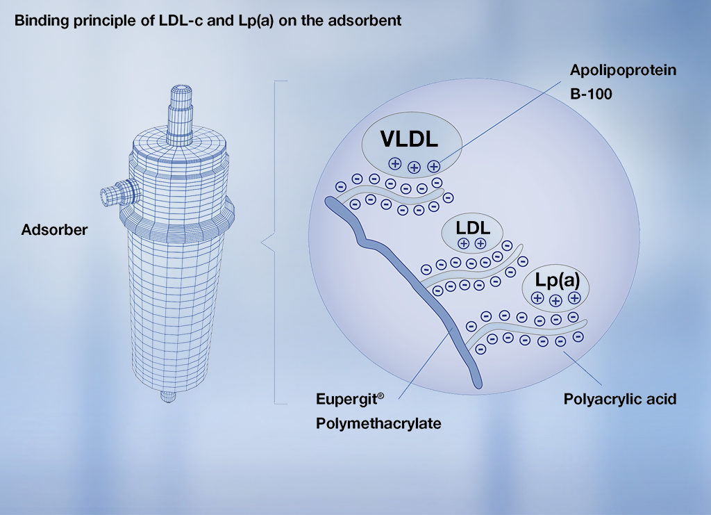 Legame delle lipoproteine all’adsorbitore DALI® Legame delle lipoproteine all’adsorbitore DALI®