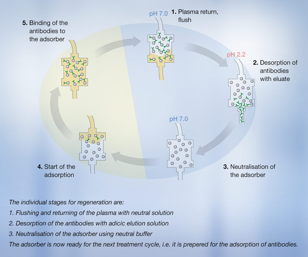 Fasi individuali per immunoadsorbitori a doppia colonna