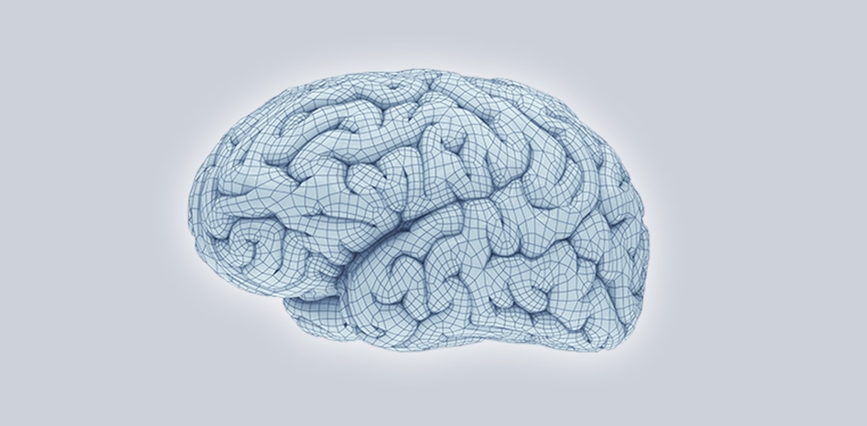 Cervello e neurologia